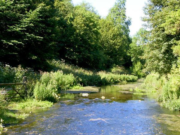 River Cottage بيكويل المظهر الخارجي الصورة